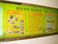 鿴ϸ